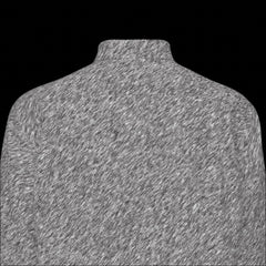 Top Backof gray button-up long sleeve shirt on a black background